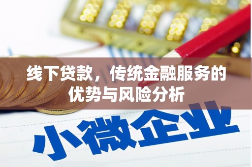 宁国线下贷款，传统金融服务的优势与风险分析