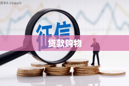 宁国贷款购物