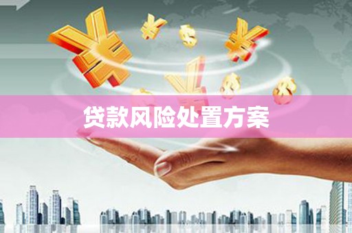 宁国贷款风险处置方案