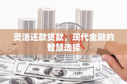 宁国灵活还款贷款，现代金融的智慧选择