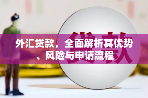 宁国外汇贷款，全面解析其优势、风险与申请流程