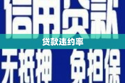 宁国贷款违约率