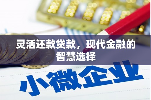 宁国灵活还款贷款，现代金融的智慧选择