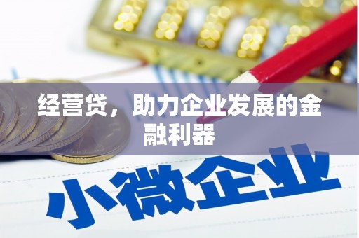 宁国经营贷，助力企业发展的金融利器
