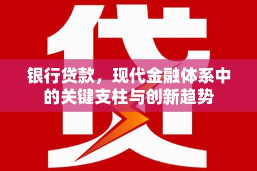 宁国银行贷款，现代金融体系中的关键支柱与创新趋势