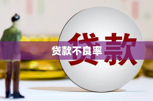 宁国贷款不良率