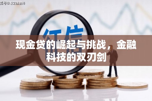 宁国现金贷的崛起与挑战，金融科技的双刃剑