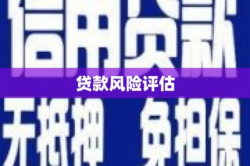 宁国贷款风险评估