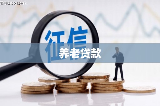 宁国养老贷款