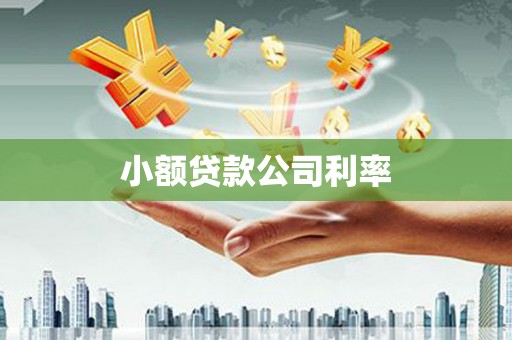 宁国小额贷款公司利率