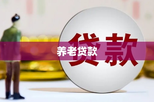 宁国养老贷款