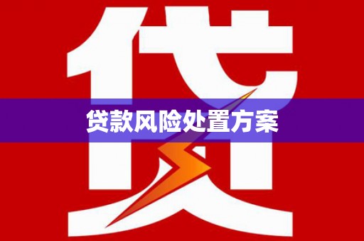 宁国贷款风险处置方案