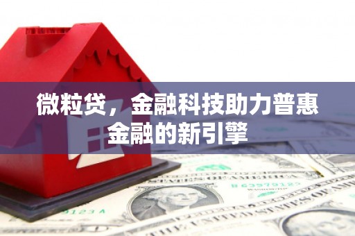 宁国微粒贷，金融科技助力普惠金融的新引擎
