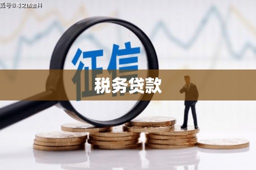 宁国税务贷款