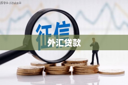 宁国外汇贷款