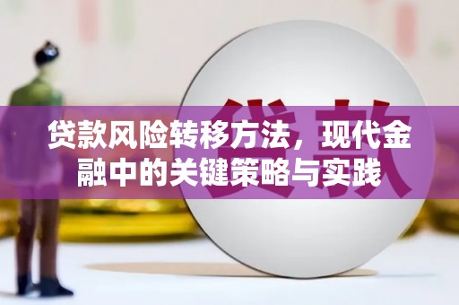 宁国贷款风险转移方法，现代金融中的关键策略与实践