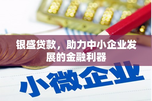 宁国银盛贷款，助力中小企业发展的金融利器