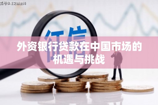 宁国外资银行贷款在中国市场的机遇与挑战