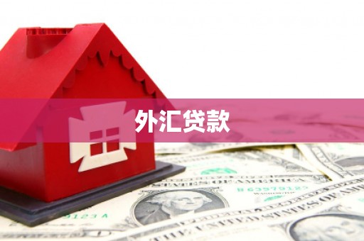 宁国外汇贷款