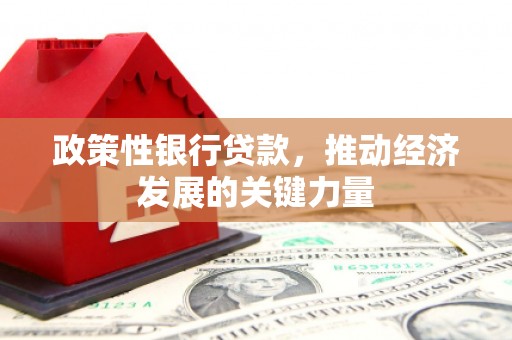 宁国政策性银行贷款，推动经济发展的关键力量