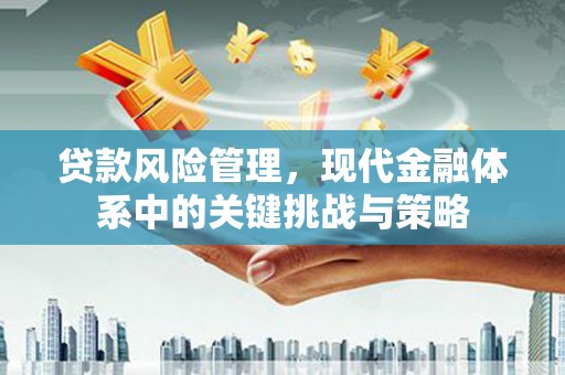 宁国贷款风险管理，现代金融体系中的关键挑战与策略