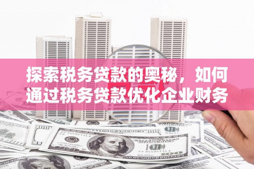 宁国探索税务贷款的奥秘，如何通过税务贷款优化企业财务