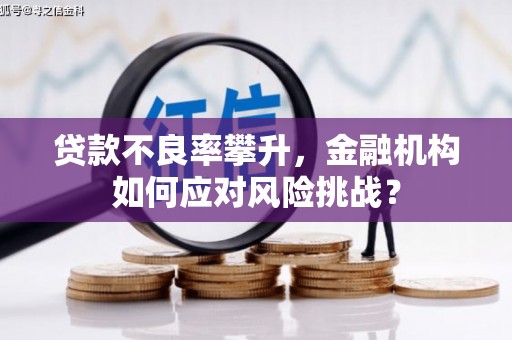 宁国贷款不良率攀升，金融机构如何应对风险挑战？