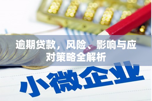 宁国逾期贷款，风险、影响与应对策略全解析