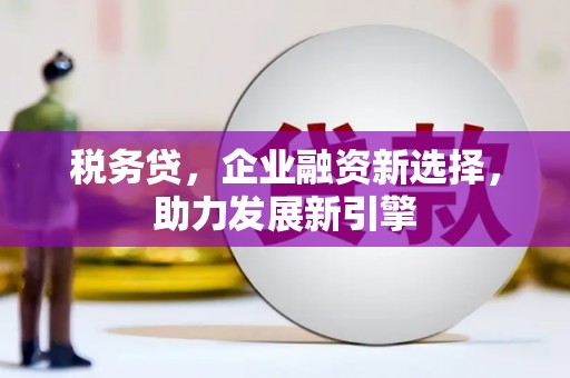 宁国税务贷，企业融资新选择，助力发展新引擎
