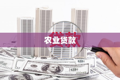 宁国农业贷款
