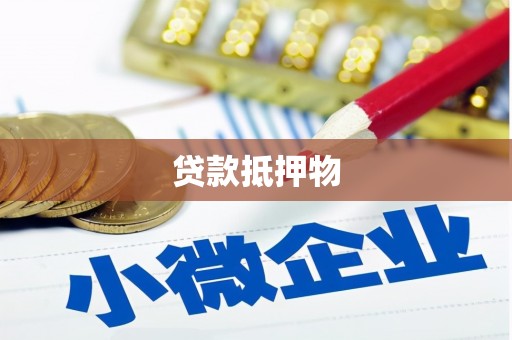 宁国贷款抵押物
