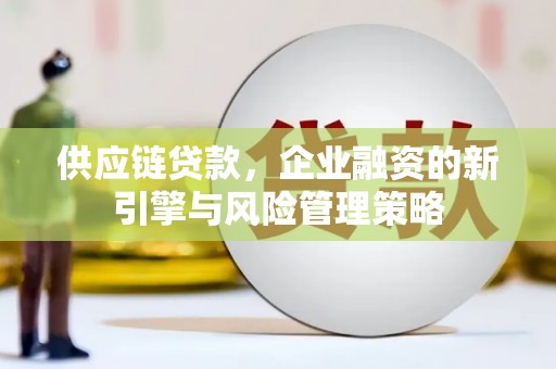 宁国供应链贷款，企业融资的新引擎与风险管理策略