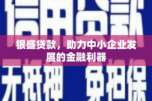 宁国银盛贷款，助力中小企业发展的金融利器