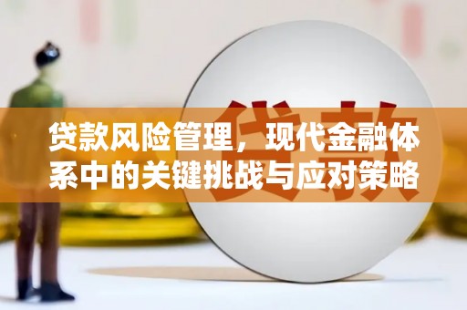 宁国贷款风险管理，现代金融体系中的关键挑战与应对策略