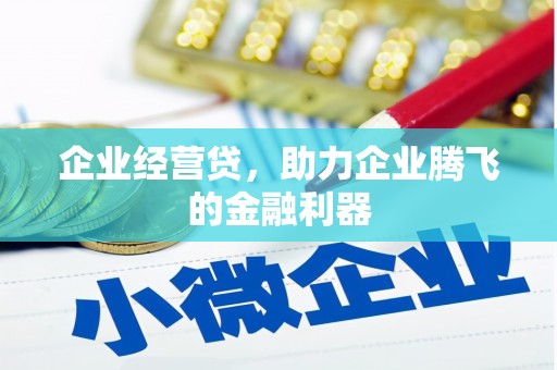 宁国企业经营贷，助力企业腾飞的金融利器