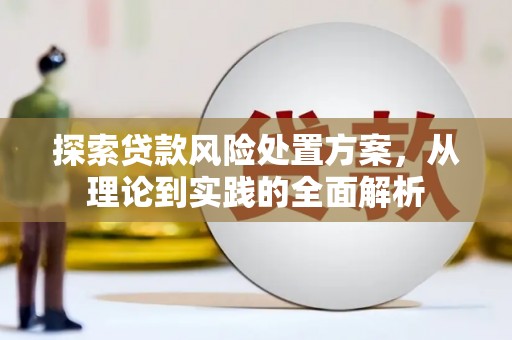 宁国探索贷款风险处置方案，从理论到实践的全面解析