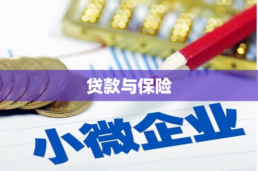 宁国贷款与保险