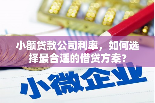 宁国小额贷款公司利率，如何选择最合适的借贷方案？