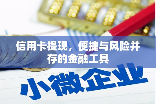 宁国信用卡提现，便捷与风险并存的金融工具