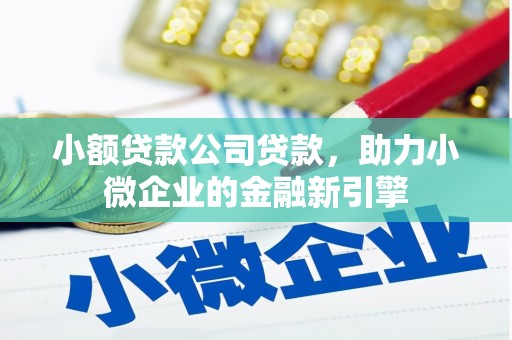 宁国小额贷款公司贷款，助力小微企业的金融新引擎