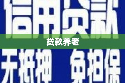 宁国贷款养老