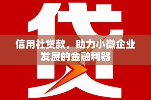 宁国信用社贷款，助力小微企业发展的金融利器