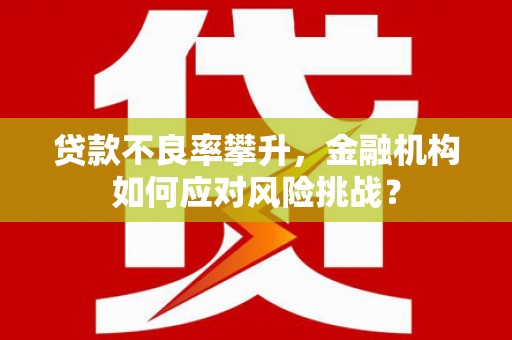 宁国贷款不良率攀升，金融机构如何应对风险挑战？
