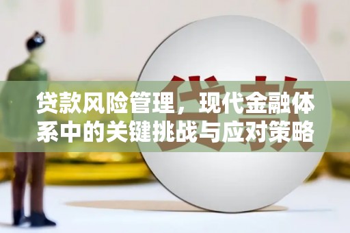 宁国贷款风险管理，现代金融体系中的关键挑战与应对策略