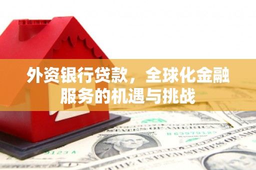 宁国外资银行贷款，全球化金融服务的机遇与挑战
