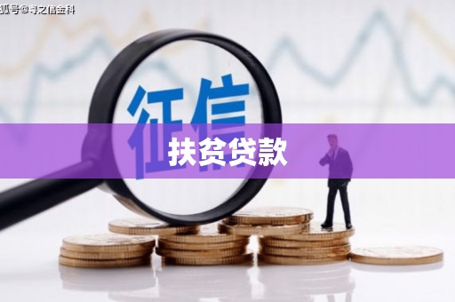 宁国扶贫贷款