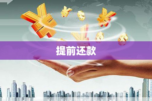 宁国提前还款
