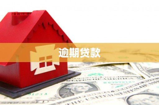 宁国逾期贷款